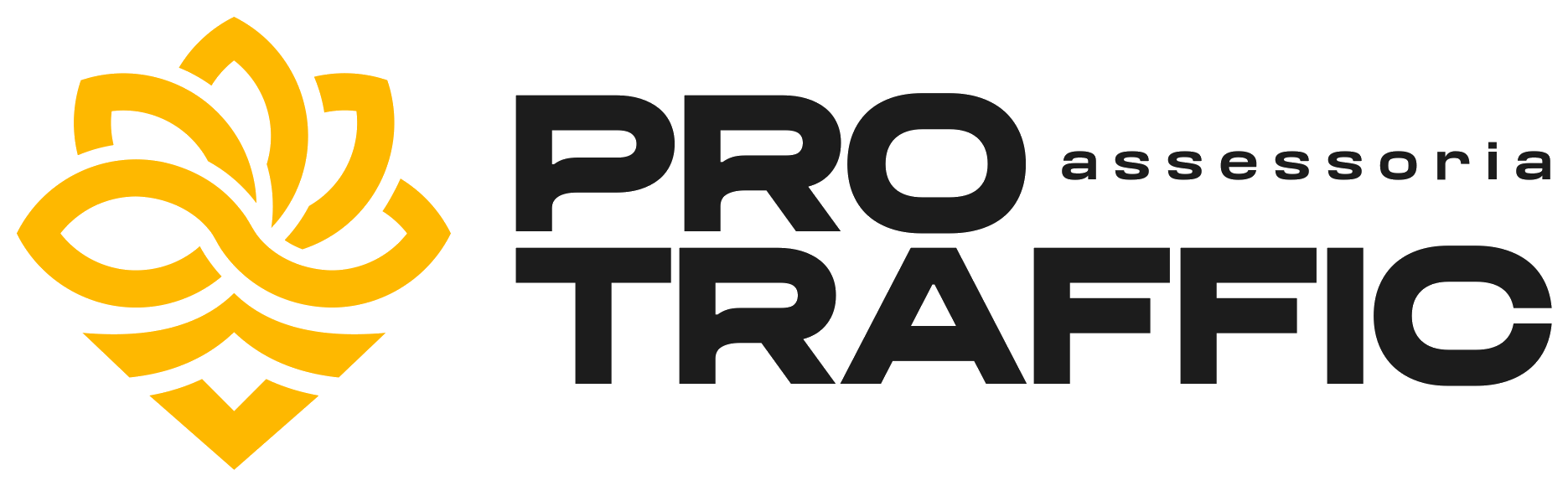 ProTraffic Assessoria